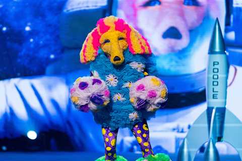 Masked Singer fans convinced Poodle is Take That star – but did you spot it?