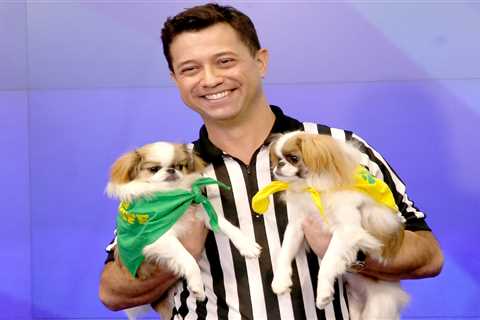 Who is Puppy Bowl referee Dan Schachner?