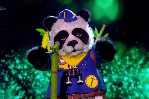 The Masked Singer viewers are TORN and say two possible famous singers could be behind Panda