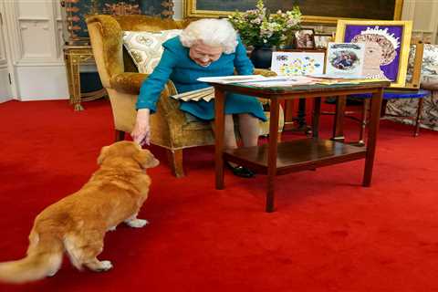 Queen pats pet dorgi as she reads cards celebrating 70 years on the throne
