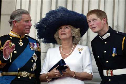 Prince Charles personally called Harry to tell him Camilla will become Queen in rare conversation..