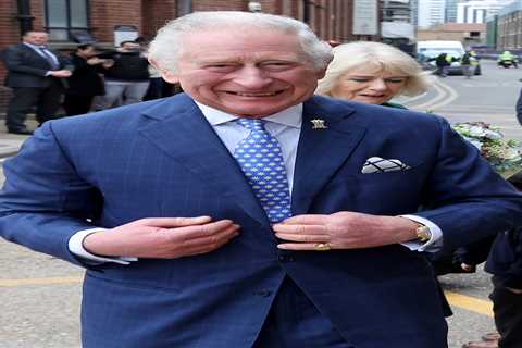 Prince Charles, 73, tests positive for Covid again & is forced to pull out of event as he..