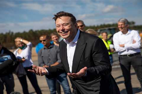 Elon Musk dismissed claims that Tesla's German Gigafactory will suck up too much water, but experts ..