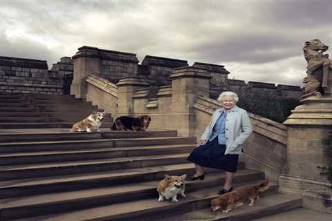 Queen, 95, so frail she can’t walk her beloved corgis any more – and hasn’t been able to for six..