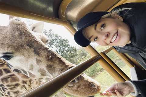Holly Willoughby looks fresh-faced as she feeds a giraffe on fun family day out