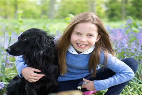 Princess Charlotte beams among bluebells in new snaps to mark her seventh birthday