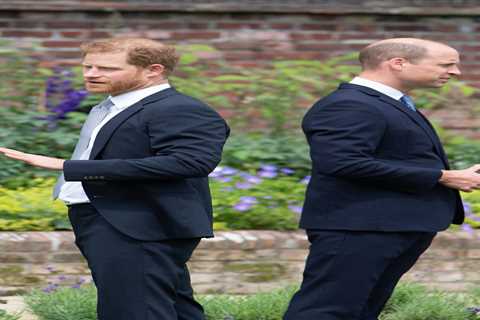 Prince William fears Harry will use details of chats they have at the Platinum Jubilee on his..
