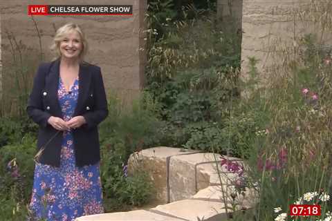 BBC Breakfast’s Carol Kirkwood announces engagement live on air