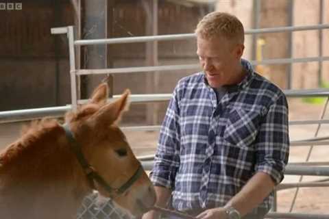 Countryfile’s Adam Henson overwhelmed as he welcomes new arrival to farm – with a heart-wrenching..
