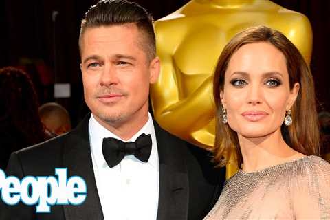 Brad Pitt Accuses Angelina Jolie of Purposely Harming Reputation of His Wine Company | PEOPLE