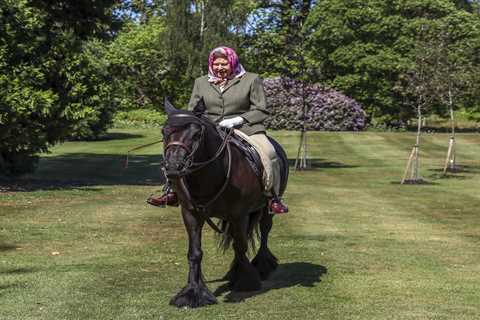 The Queen, 96, is riding her beloved horse again – nine months after she was told to quit