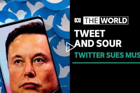 What happens next in the Elon Musk-Twitter saga? | The World