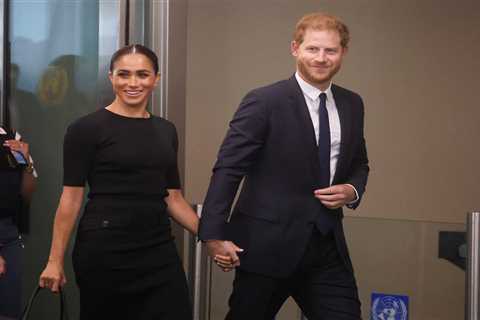 I’m a body language expert – four signs Prince Harry showed during his UN speech that fans have..