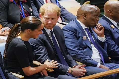 Prince Harry warmed up for his United Nations speech by watching movie Bad Boys