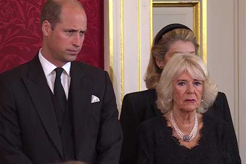 Prince William reveals grief at Queen’s death – but stands dutifully behind new king, body language ..