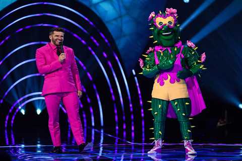 Boyband hunk drops huge hint he is The Masked Dancer’s Cactus as he shares ‘revealing’ picture on..