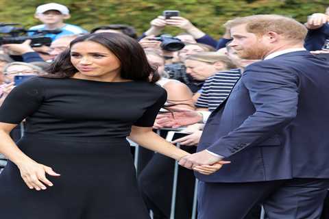 Watch awkward moment Meghan Markle is snubbed by royal fan who refuses to shake her hand at Fab..