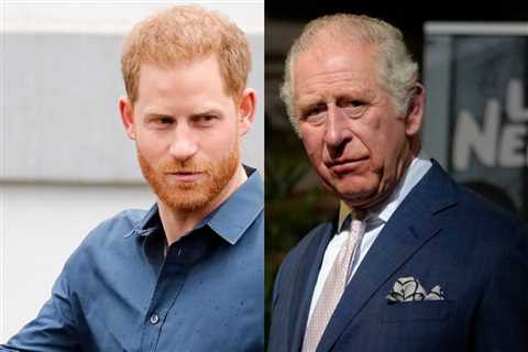 Here’s Why Prince Harry Gets Unfairly Accused Of Not Being King Charles’ Son