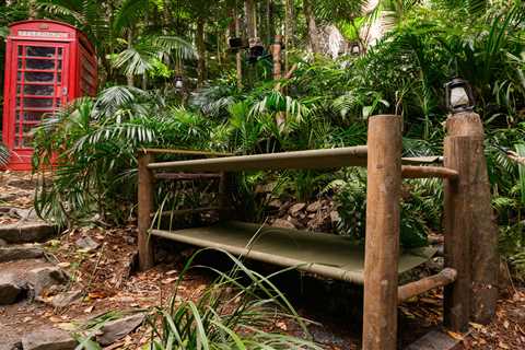 I’m A Celeb stars set to face infestation of blood-sucking bugs after torrential rain and flooding..