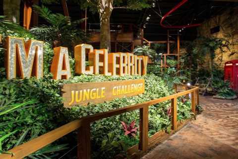 I’m A Celebrity Jungle Challenge attraction closes down for good leaving furious parents saying..