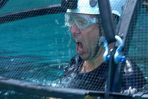 I’m A Celebrity first look: Panicked Matt Hancock dives into pool of crabs as he takes on brutal..