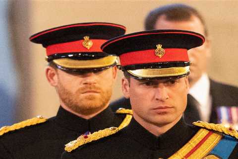 Prince William ‘infuriated’ with Prince Harry after brother disobeyed his request in bombshell..