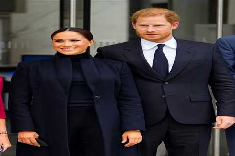 ‘Dutiful, insecure’ Prince Harry and ‘ambitious, self-obsessed’ Meghan Markle are a ‘volatile..