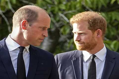 Harry and William’s relationship ‘irretrievably damaged’ and there are bigger bombshells to come in ..