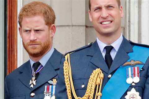 Prince Harry Recalled The Terrifying Moment Prince William Began To Scream And Shout At Him