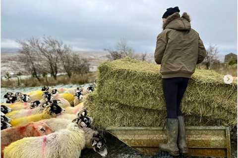 Amanda Owen fans all say the same thing as Our Yorkshire Farm star posts update fron snowy Ravenseat