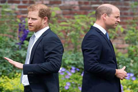 Prince Harry will blast William & moan he was forced to play second fiddle to older brother in..