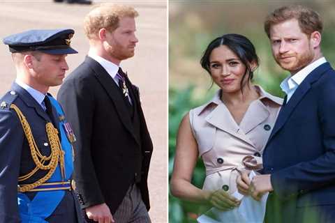 Harry called his therapist instead of Meghan after he was ‘knocked to the floor’ by William, new..