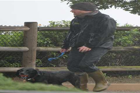 Prince Harry seen on dog walk as he breaks cover for first time after unleashing explosive claims..