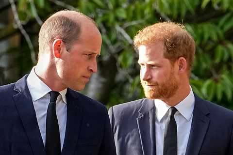 Royal Family ‘to hold peace talks with Prince Harry’ before coronation under plans to ‘fix’..