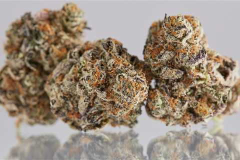 Strain Spotlight: Garlic Breath