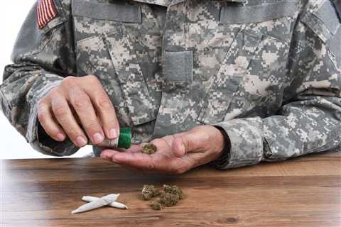 Study: 1 in 10 US Veterans Used Cannabis in Past Year