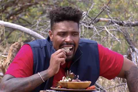 I was on I’m A Celebrity – here’s why show’s stomach churning eating trials should be ditched, says ..