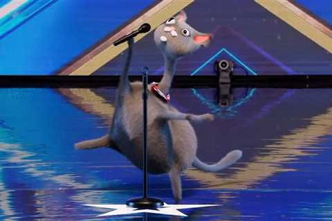 BGT viewers convinced famous singer is behind ‘bizarre’ singing cat