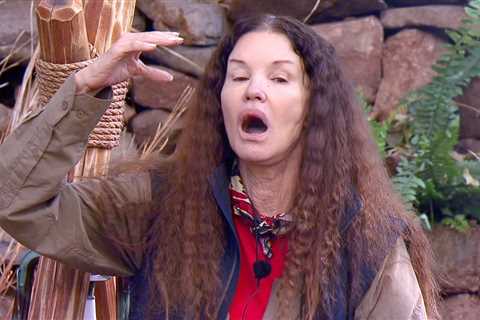 Inside Janice Dickinson’s shock exit from I’m A Celeb WhatsApp group after a string of cast bust-ups