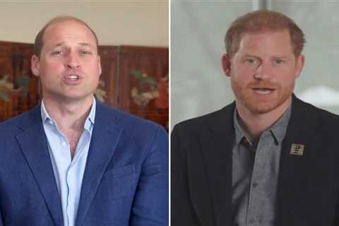 Princes Harry & William record SEPARATE video messages to Diana Awards winners days after Sussexes..