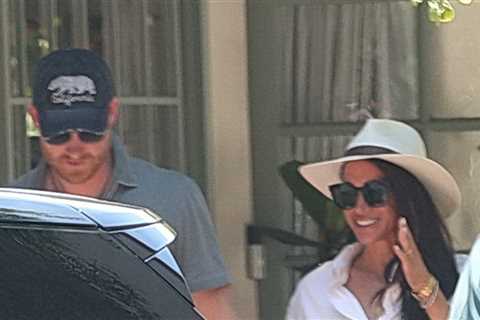 Meghan Markle & Prince Harry All Smiles Amid Uncertain Hollywood Future