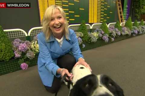 BBC Breakfast chaos as Carol Kirkwood dragged to the ground by dog as co-stars gasp ‘are you..