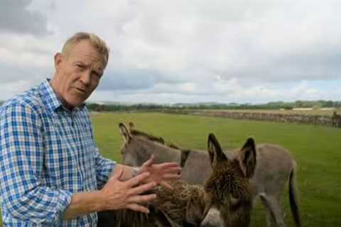 Countryfile fans blast Adam Henson for ‘boring them to tears’ with ‘joyless, doom-filled’ BBC report