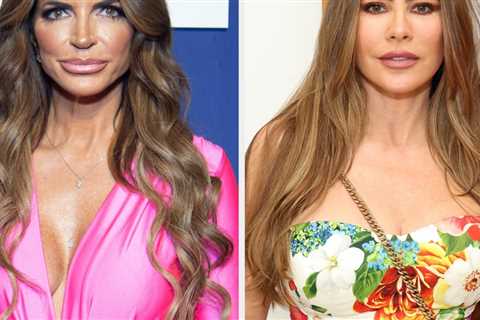 Teresa Giudice Called Sofía Vergara The Rudest Celebrity She's Met, But Her Comments Feel Kinda..