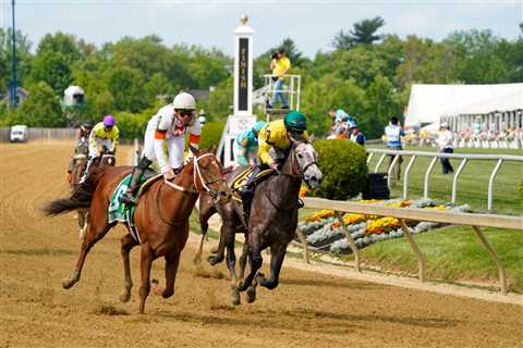 Maple Leaf Mel, a Bill Parcells-owned horse euthanized after fall at Saratoga race