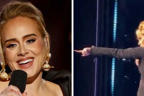 Could You Leave Him Alone Please: Adele Defended A Fan From A Security Guard Mid-Performance At Her ..