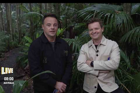 I'm A Celeb's Ant and Dec Concerned About Potential Clash as Two New Campmates Enter the Jungle