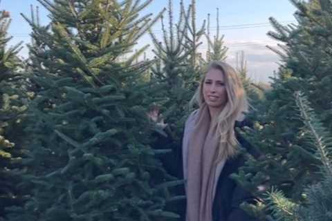 Stacey Solomon reveals her massive 12ft Christmas tree and takes fans on a tree-buying adventure