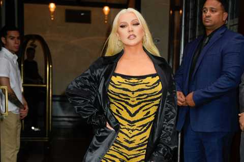 Christina Aguilera’s Travel Essentials Include a Pink Nintendo Switch: Shop It Here