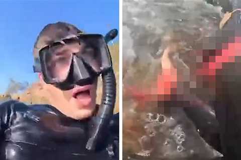 Man Films Aftermath of Shark Attack That Claimed His Leg in Australia